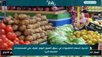 تحديث أسعار الخضروات في سوق العبور اليوم: تعرف على المستجدات الكاملة الآن!